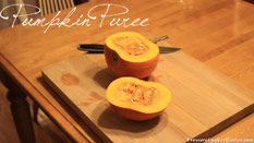 Homemade Pureed Pumpkin