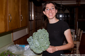Pressure Cooker Recipes