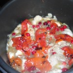 Pressure Cooker Cranberry Chicken Recipe